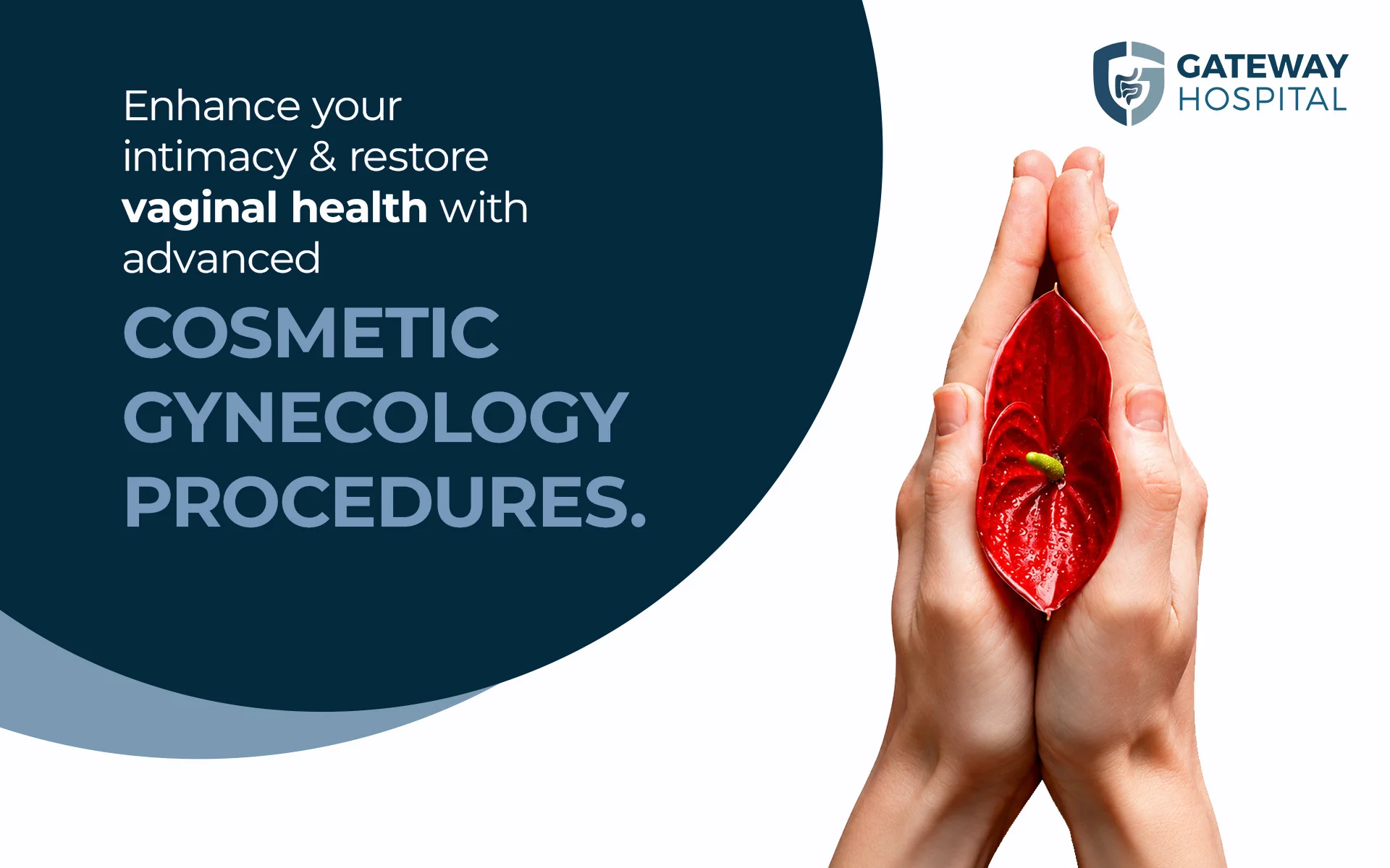 web gynecology